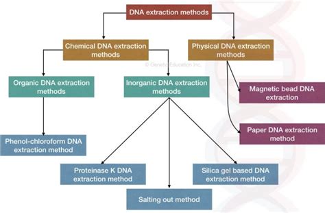 what are the two main factors for quality dna extraction